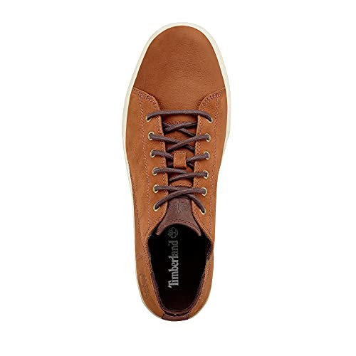 Baskets basses Timberland ADV 2.0 CUPSOLE MODERN OX - vue 7