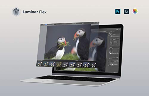 Skylum B07RH93P1S_CA NARF Luminar Flex - Ai-Powered Photo Editing Plug-In thumb #1