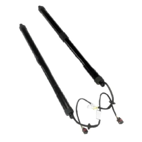 Aide au levage hayon électrique cassé Hyundai Santafe 2012-2018 : pack paire OEM 817702W600