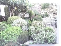 Amazon.co.jp: 洋書プロヴァンスのインテリア写真集 本 フランス