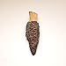 Season Harvests Morel Mushrooms 2oz