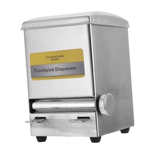 OFFSCH Box Toothpick Holder Toothpick Dispenser for Home Miniture Decoration Toothpick Case Toothpick Container Toothpick Jar Swab Holder Container Car Decor Stainless Steel Silver