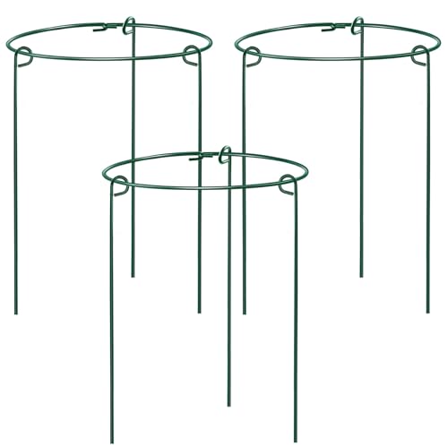 HiGift 3 Pack Peony Cages image