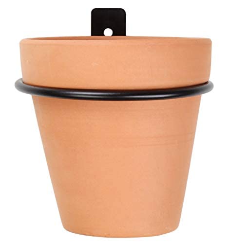 Darware 4-Inch Metal Wall Ring Planters (4-Pack); Wall Mounted Holder For Plants And Flowers #TOP3