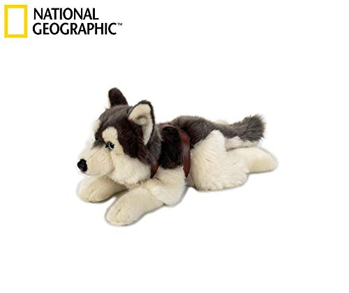 Venturelli LAPO Husky Steso Piccol Cane Peluches