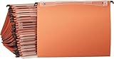 Esselte Orgarex Kori, Set di 25 cartelle sospese con fondo a V, formato A4, 34.5 x 24.5 cm, interasse 33 cm, linguette incluse, etichette sostituibili, 100% cartone riciclato, Arancione, 10202