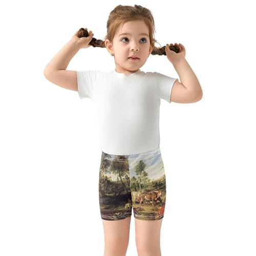 Cotton Under Dress Cute Art Peter Paul Rubens Painting Field Landscape Toddler Girl Biker 4t Summer Clothes3