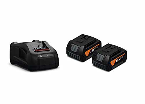 Fein 92604246010 - Kit Di Avviamento A Batteria Gba 18 V, 5,0 Ah As (2 Batterie Agli Ioni Di Litio 5,0 Ah + Caricabatterie, Per Ampshare/Bosch Profess
