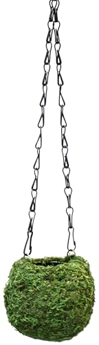 SuperMoss (29346) Kokedama Planter, 4', Fresh Green