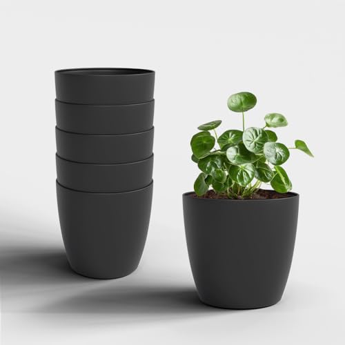 Image of YUCCABE ITALIA SHERA Stella 5 Inch Plastic Plant Pot for Home Decor Indoor Plant Pots for Living Room Plastic Flower Pot for Garden (Grey, 5 INCH - 6 Pcs)