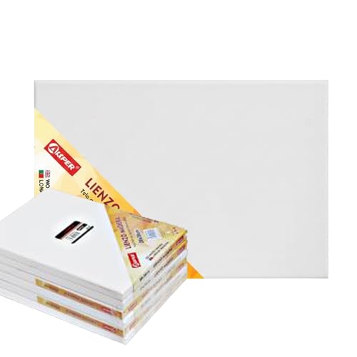 Weida | Juego de 6 lienzos Enmarcados Pre-Estirados | 100% Algodón | Triple Preparado y Libre de Ácido | Color Blanco | | Lienzos para Pintar al Óleo, Acrílico o Acuarela (25cm-35cm)