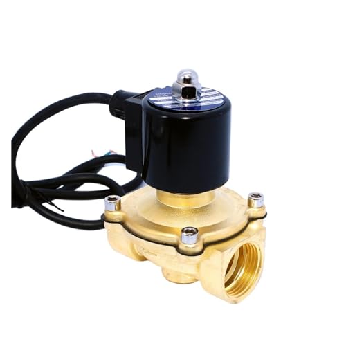 Électrovanne 220V NPT laiton 1 pouce pour l'arrosage automatique du jardin