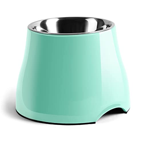 Fluffydream Elevated Dog Bowls, Prevention of Vertebrae Disease, Non-Slip With Stainless Steel Bowl, High Capacity Food Bowls (MintGreen, M (540ML / 2 Cups))
