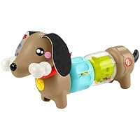 Fisher-Price Perrito de actividades con sonidos y giros, juguete