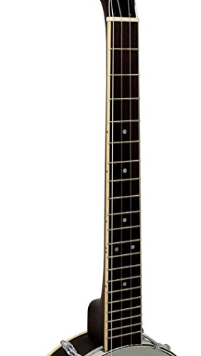 Gold-Tone-Baritone-Banjo-Ukulele-wHard-Case