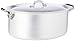 Pentole Agnelli Linea Alluminio 3 mm Professionale Casseruola Ovale con Maniglie Inox e Coperchio, Argento, 32 cm