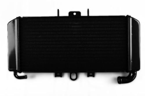 avdb-Moto Radiateur d'eau Compatible avec Yamaha FAZER 600 FZS RJ02 1998-2001, FAZER 600 FZS RJ025 2002-2003, FAZER 600 FZS RJ025 2002-2003, FAZER 600 FZS RJ02...