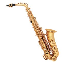 Amazon.com: Standard 