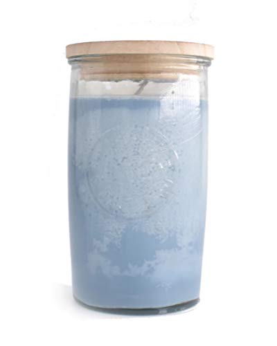 Swan Creek Candles 12 Oz. Logo Jar Candle (Summer Rain, One Size) #TOP19