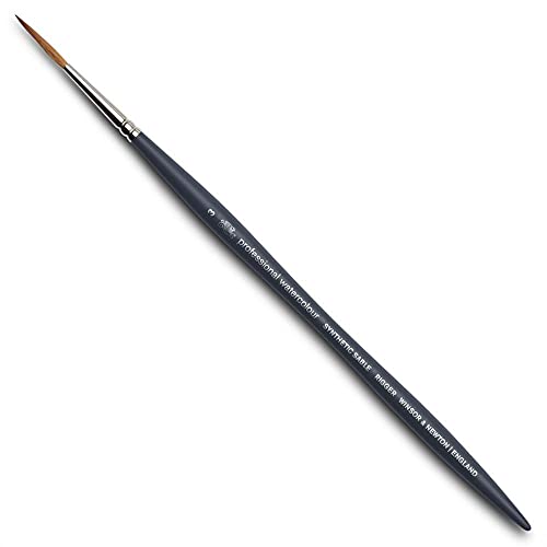 winsor amp newton professional watercolour synthetic brush rigger 3