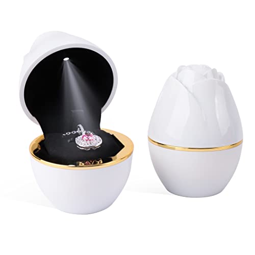 Boîte collier LED pour déclaration d'amour éternelle écrin rose blanche