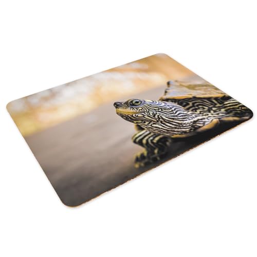 Sets de table liège tortue anti rayure grand format protège table napperon souple - 3