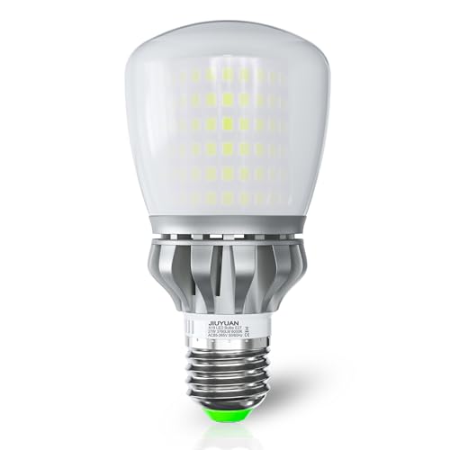 JIUYUAN Bombillas LED E27 27W, Equivalente 250W, 3760 Lumen 6000K Blanco Frìo No Regulable, Bombilla LED E27, Paquete de 1