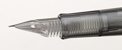 Image of Sailor Fountain Pen haie-suneo Clear Fine 11-0119 - 219 Silver Parent