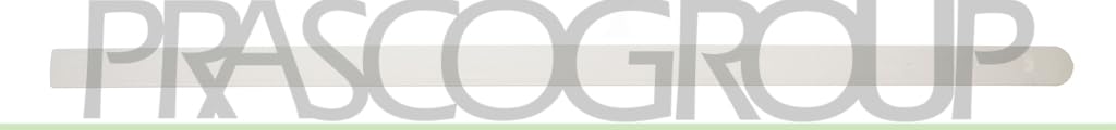 PRASCO Zier-/Schutzleiste, Tür OP0301423