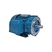 WEG Mtr,3 Ph,1.5hp,1755,230/460,Eff 86.5 (00158ET3E145T-W22)