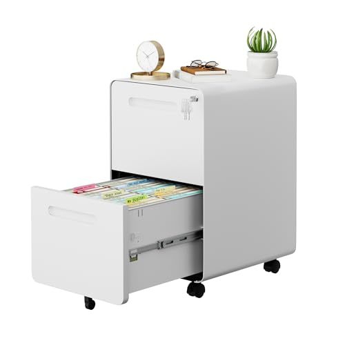 LVSTEEL 2 Drawer File Cabinet with Lock and 4 Keys, Mobile Metal Filing Cabinet, File Cabinets for...