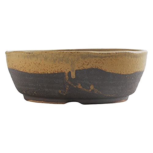 Wazakura Shigaraki Series Yellow Dust Stripe Glazed Ceramic Bonsai Pot Made In Japan, Garden Training Container, Flower Planter, Succulent Bowl - Yellow Sand Small Size #TOP1