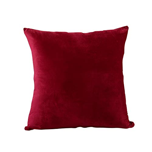 EVOLIVE Euro Sham Cover â€“ Soft Micromink Faux Velvet Pillowcase, Faux Fur Texture, Decorative Square Cushion Cover with Hidden Zipper Closure (26"x26" Euro Sham, Wine)