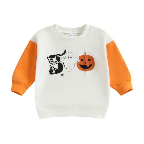 ZAXARRA Little Baby Boys Clothes Halloween Sweatshirts Long Sleeve Round Neck Bat Spider Ghost Pumpkin Print Fall Pullover