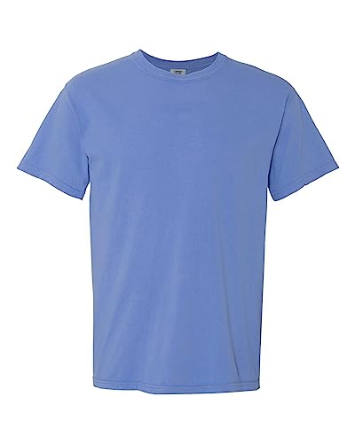 Image of Comfort Colors Adult Short Sleeve Tee, Style G1717