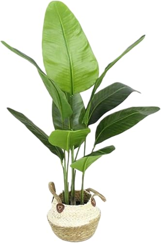 Dohera lHϗtA lHO[ G} A̖ ^[O[Aؔ vX`bN V~[V i`  y b炸 ͂Ȃ sv tFCNA lH gݗĂȒP CeA Ϗܗp ƒp Ɩp