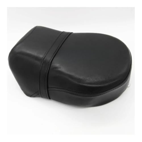 Asiento de pasajero para Sportster 1200N ideal para viajes en pareja y rutas de fin de semana