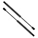 2 Pcs Rear Window Glass Lift Supports Gas Sping Shocks Struts For 1999-2006 Cadillac Escalade Chevrolet Suburban Tahoe GMC Yukon 4185