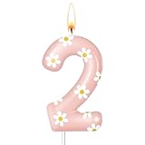 Photo Gallery conelist candela di compleanno a forma di margherita con fiori rosa, decorazione per torta a tema bohémien, per compleanni, baby shower, feste, decorazioni per torte (rosa, numero 2) Photo Gallery conelist candela di compleanno a forma di margherita con fiori rosa, decorazione per torta a tema bohémien, per compleanni, baby shower, feste, decorazioni per torte (rosa, numero 2)
