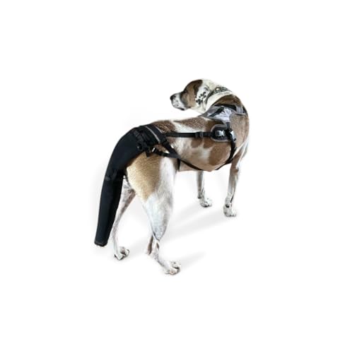 Image of Tail Guard & Harness Set - Veterinary Dog Tail Protector & Injury Wrap, Size XS