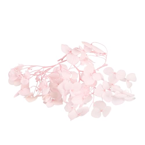 HOMSFOU Pétalos Secos de Hortensia para Decoración miniatura 6