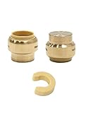 (Pack of 2) EFIELD 3/4 Inch Plug End Cap Push-Fit Fitting to Connect Pex, Copper, CPVC With A...