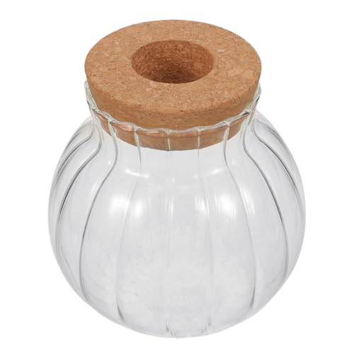 Alasum Terrarium Hydroponique en Verre Transparent Petit Format avec Bouchon en Liège, Vase de Propagation pour Pothos, Jardinière Décorative pour Boutures et Plantes D’intérieur,