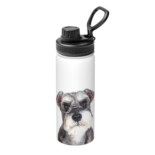  킢 ViEU[  XeX{g @r 500ml  ۗۉ ^fM X|[c{g e nht ^ Rh~  oR AEghA ʋ ʊw