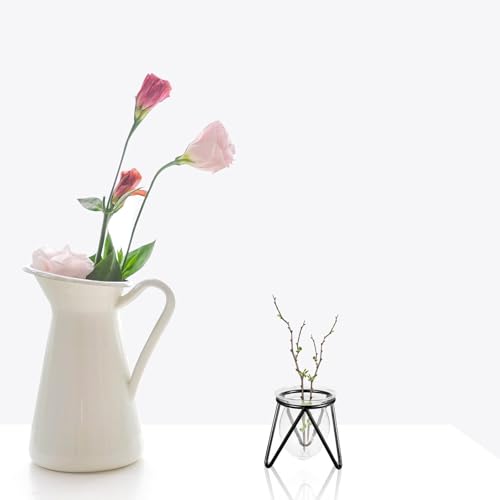 Jarrones de flores hidropónicos con marco de metal negro triangular para escritorio 8