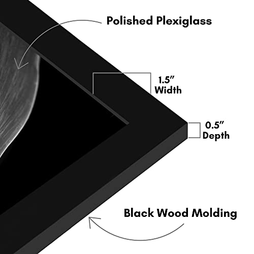 Americanflat 24x30 Picture Frame with Polished Plexiglass - Black Picture Frame - Wide Photo Frames Made of Engineered Wood for Vertical or Horizontal Wall Display - Epic Collection - Black