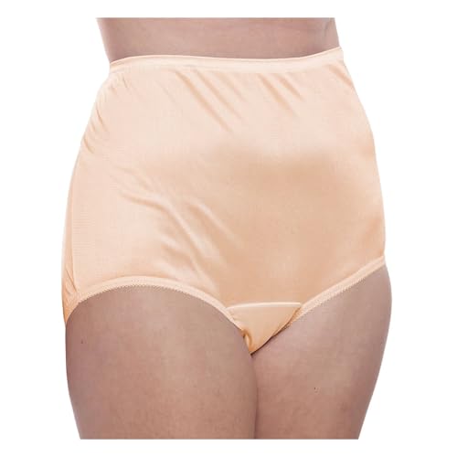 Image of Teri Women's 331 Plain Jane Classic Nylon Silky-Smooth Lightweight Breathable Full Coverage Brief Panty - 4 Pack