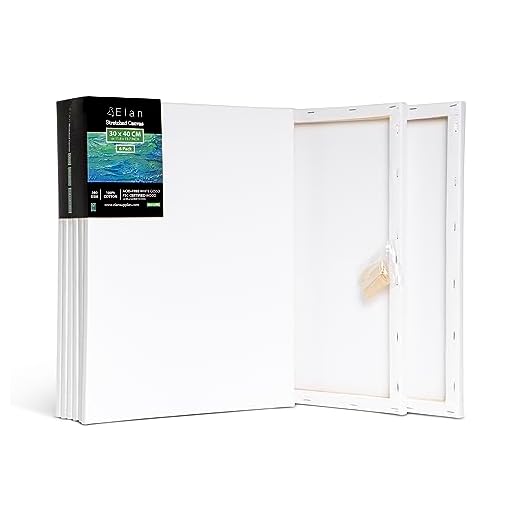 Elan Lienzos Preestirados 30x40, 6-PACK 100% Algodón Lienzos para Pintar pequeños, Canvas para Pintar, Lienzos Enmarcados, Tela Lienzos para Pintura, Tela Lienzo para Pintar pequeño, Lienzos Blanco