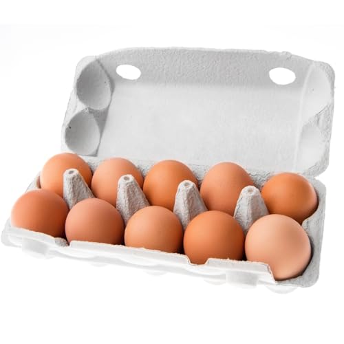 Frische Eier Freilandeier direkt vom Bauernhof 10 Stück Größe M natürlich gefüttert mit Mais und Naturfutter für vollmundigen Geschmack sicher verpackt Hühnereier 580 gramm