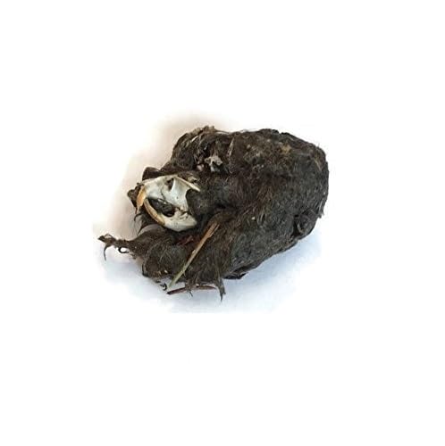 Jumbo Barn Owl Pellets, Over 2 Inches Length, Pack of 6